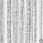 Hoffman Berries and Birch Trees - Fog/Silver